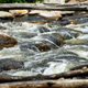 Illustration for article titled Monthly Photo Mission: Water